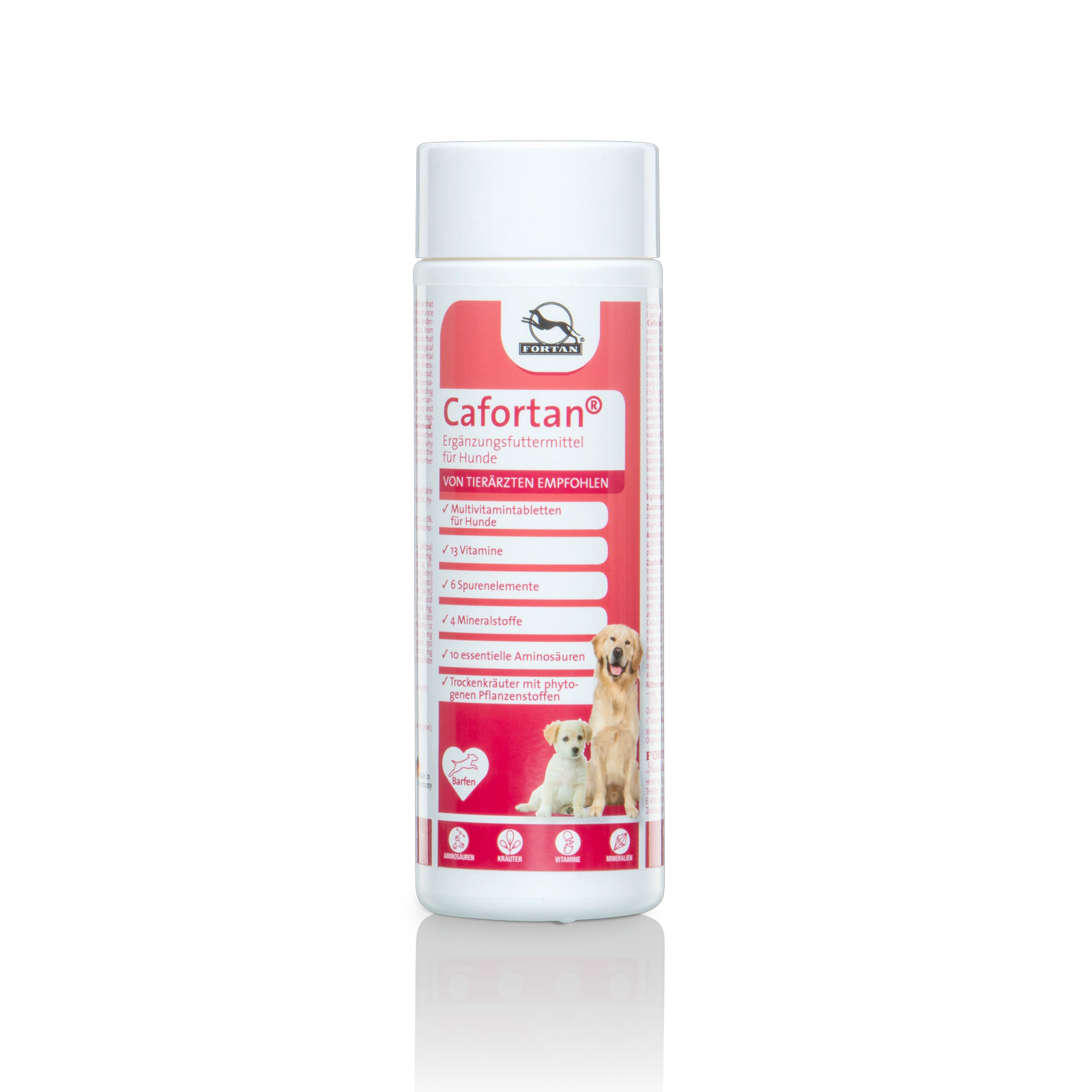 Cafortan® für Hunde Fortan Cafortan: Ergänzungsfutter für Hunde - 300 g Dose