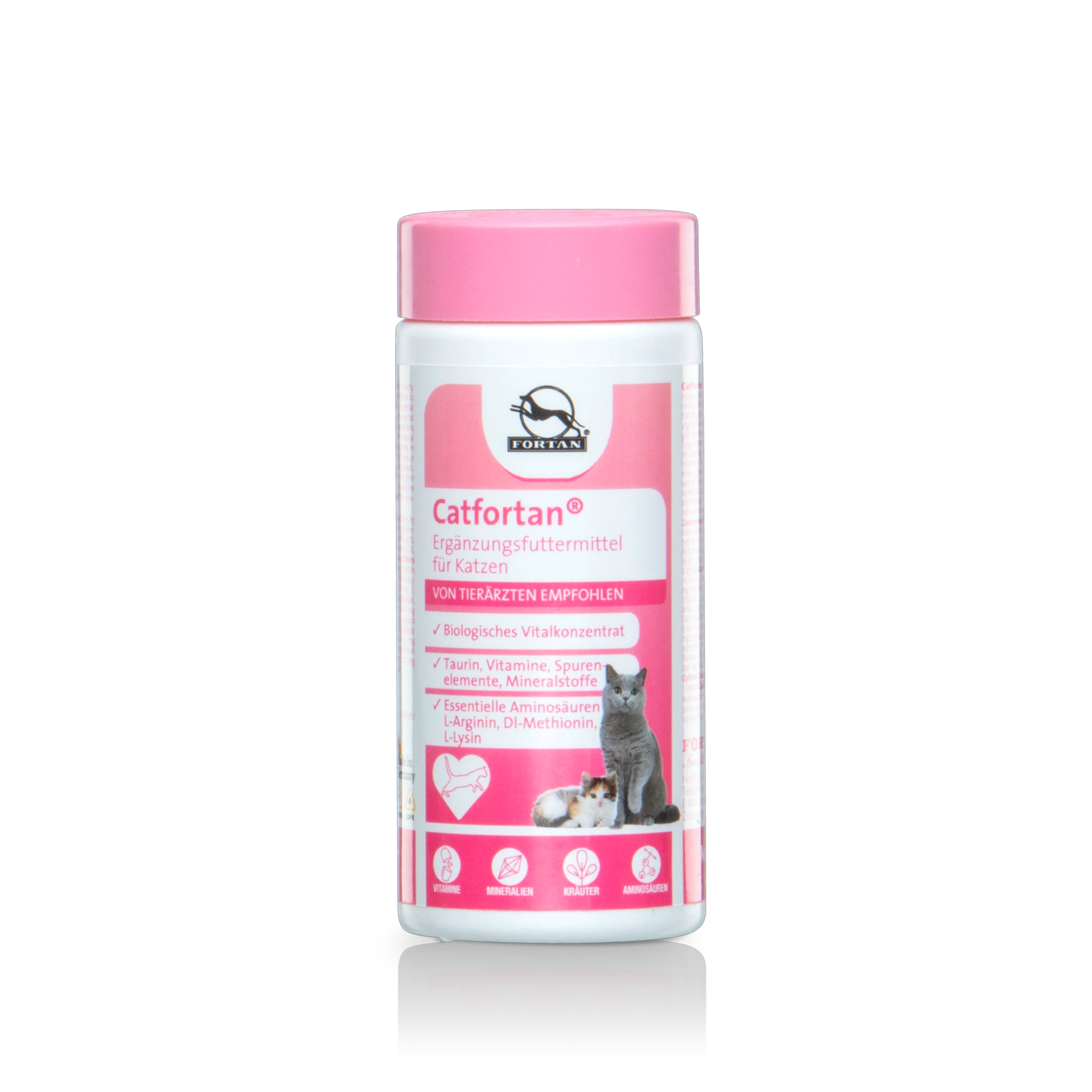 Fortan Catfortan: supplement feed for cats - 90 g can